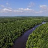 Amazon Jungle in Georgia - Kolkheti National Park - Travel company "Silk Road Group"