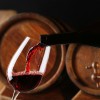 The Wines Of Georgia - Travel company "Silk Road Group"